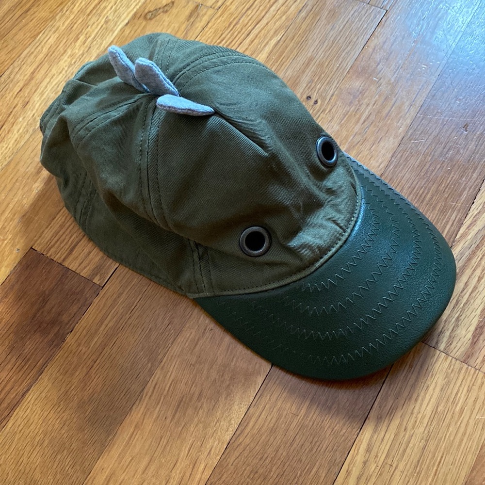 Boy’s Dino Hat!